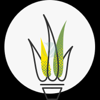 icon seed supply