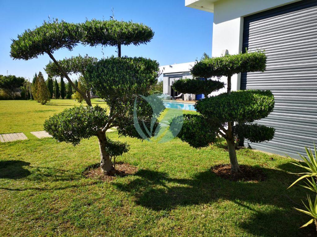 WhatsApp-Image-2021-05-20-at-14.47.59-1-1024×768