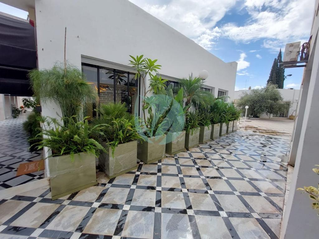 jardinieres-rectangulaires-casablanca