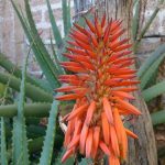 b d a fc c db f ecc b