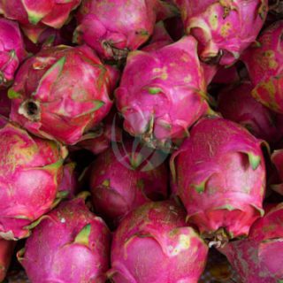 Fruit-du-dragon-pitaya-maroc-clorofila.jpeg
