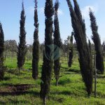 WhatsApp Image at . .