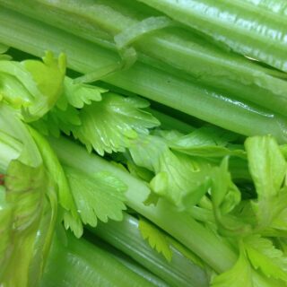 celery-383753_1280.jpg