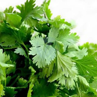 cilantro-herbs-food-green-preview.jpg