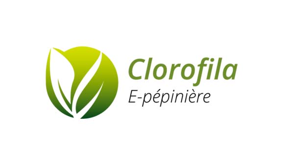 clorofila pepiniere maroc