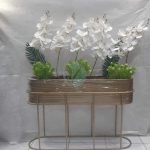 jardiniere ovale plante maroc clorofila j
