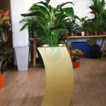 pot banane plante maroc clorofila p