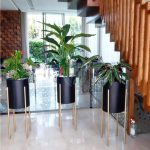 pot cylindrique plante maroc clorofila p