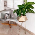 pot geometrique plante maroc clorofila p