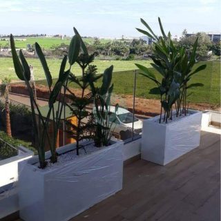 pot-pour-plantes-jardiniere-rectangulaire-maroc-clorofila-j-02.jpeg