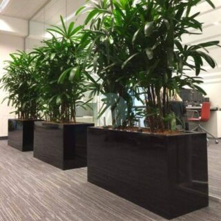 pot-pour-plantes-jardiniere-rectangulaire-maroc-clorofila-j-06.jpeg